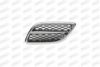 PRASCO DS5202004 Radiator Grille